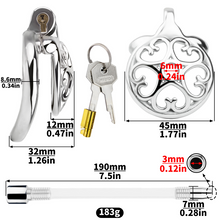 Charger l'image dans la galerie, Locked In Love Chastity Cage
