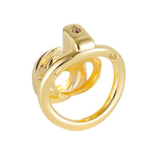 Lade das Bild in den Galerie-Viewer, Luxury Chastity Cage
