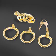 Lade das Bild in den Galerie-Viewer, Luxury Chastity Cage
