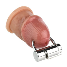Lade das Bild in den Galerie-Viewer, Metal Pa Lock
