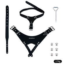 Load image into Gallery viewer, Meteor Chastity Lock - 7
