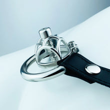 Lade das Bild in den Galerie-Viewer, Micro Chastity Cage
