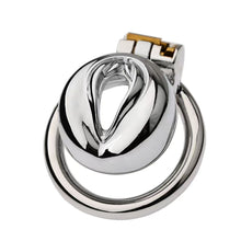 Lade das Bild in den Galerie-Viewer, Multi Style Stainless Steel Pussy Cock Cage 3
