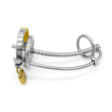 Load image into Gallery viewer, Penis Ring Plug
