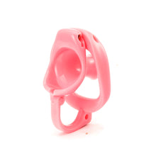 Load image into Gallery viewer, Personalized Egg Separation Chastity Device
