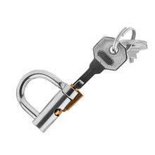 Load image into Gallery viewer, Prince Albert Chastity Cage
