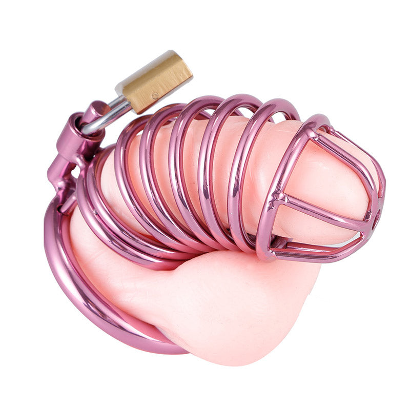 Purple Chastity Cage ( 3 Rings )