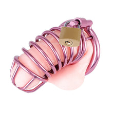 Load image into Gallery viewer, Purple Chastity Cage ( 3 Rings )
