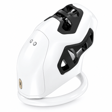 Lade das Bild in den Galerie-Viewer, QIUI ThrillCage E-Stim Chastity Cage
