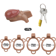 Charger l'image dans la galerie, ABS Resin Simulation Penis Chastity Lock
