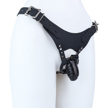 Lade das Bild in den Galerie-Viewer, Resin Realistic Chastity Cage
