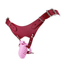 Lade das Bild in den Galerie-Viewer, Resin Realistic Chastity Cage
