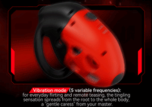 Load image into Gallery viewer, Lockink Telescopic Shock Chastity Cage
