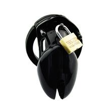 Load image into Gallery viewer, Silicone Chastity Device
