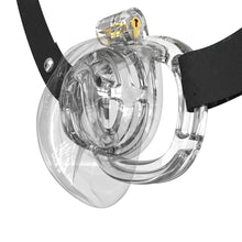 Load image into Gallery viewer, Sissys in Chastity Bondage
