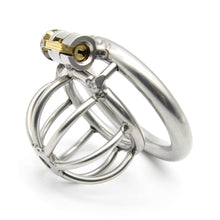 Load image into Gallery viewer, The Stainless Steel Chastity
