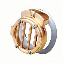 Load image into Gallery viewer, The Gate Flat Chastity Cage product photo - chastity cage by MetalChastity

