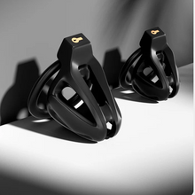 Load image into Gallery viewer, Two Cages Male Chastity Devices - 3
