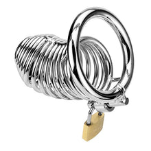 Load image into Gallery viewer, The Ring Dong Stainless SteelChastity Device
