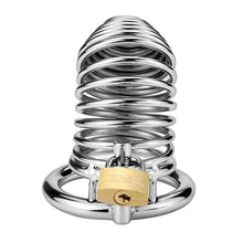 Load image into Gallery viewer, The Ring Dong Stainless SteelChastity Device
