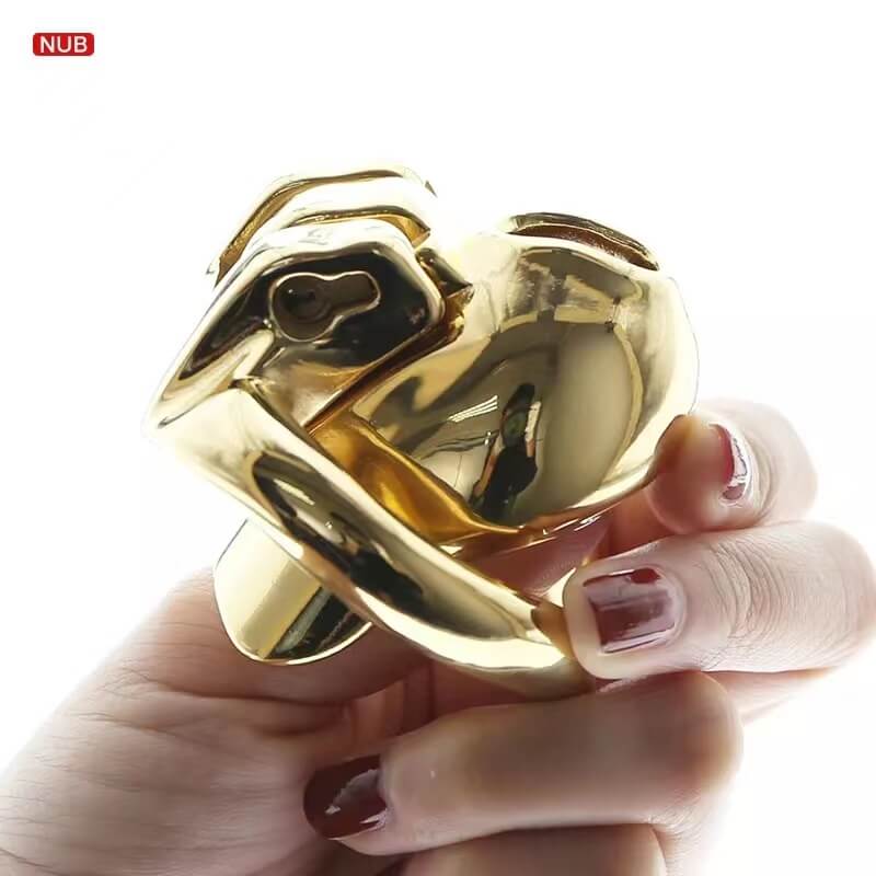 HTV3 Gold Chastity Cage