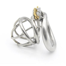 Load image into Gallery viewer, Stainless Steel Cock Cage With Heart-Shaped Ring
