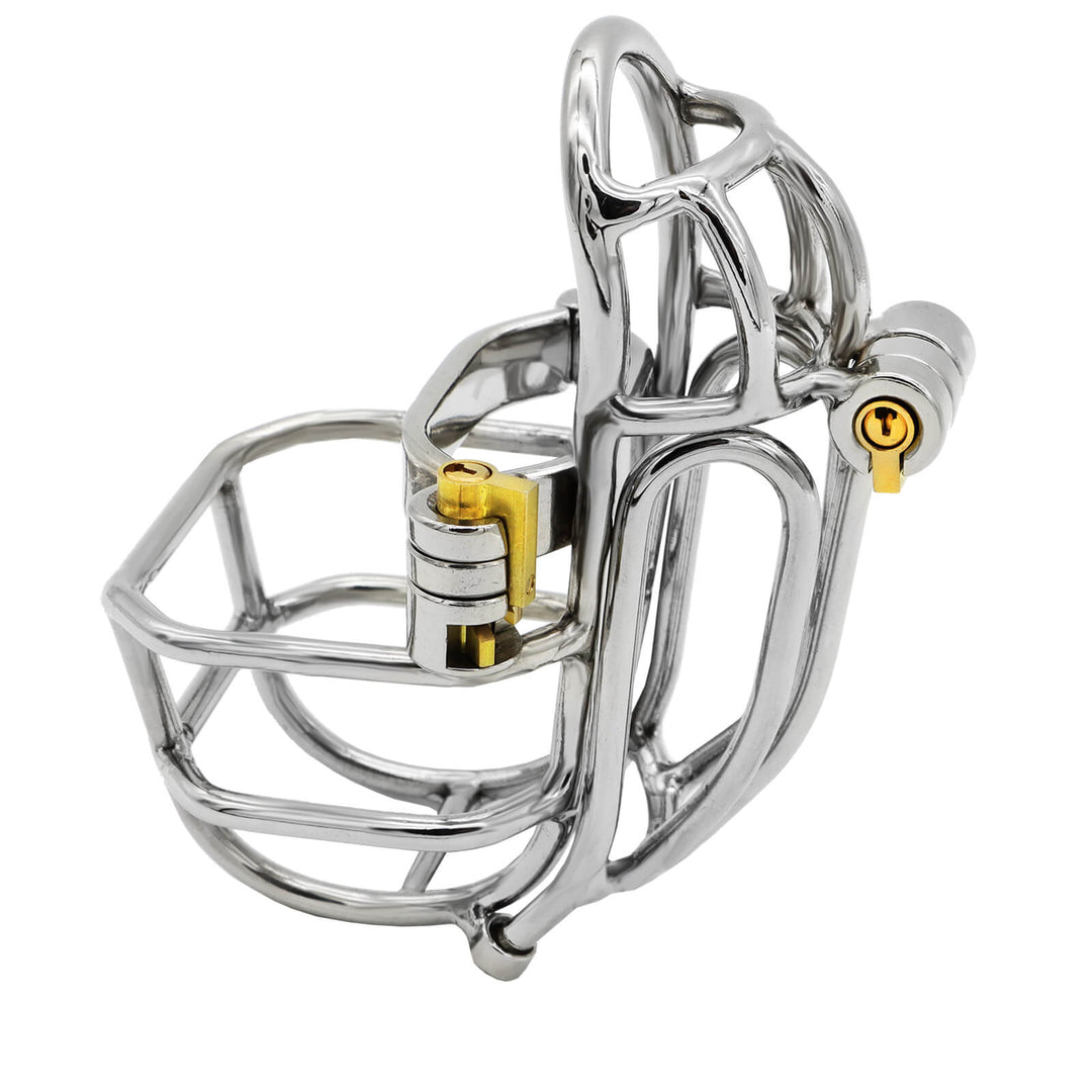 NEW DesignStainless Steel Detachable PA Puncture Chastity Device ...