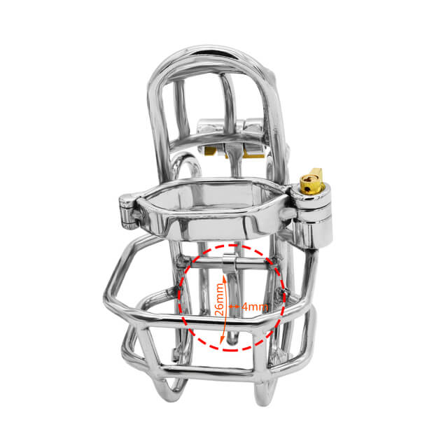 NEW DesignStainless Steel Detachable PA Puncture Chastity Device ...