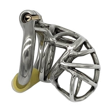 Load image into Gallery viewer, Stainless Steel Stealth Lock Male Chastity Device
